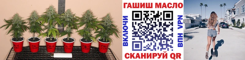 закладки  Володарск  Дистиллят ТГК Wax 
