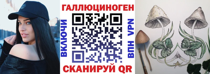 Галлюциногенные грибы Psilocybine cubensis  Володарск 