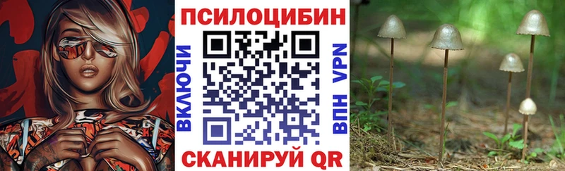 Галлюциногенные грибы Psilocybe Володарск